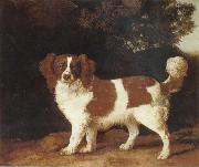 George Stubbs Dog oil painting